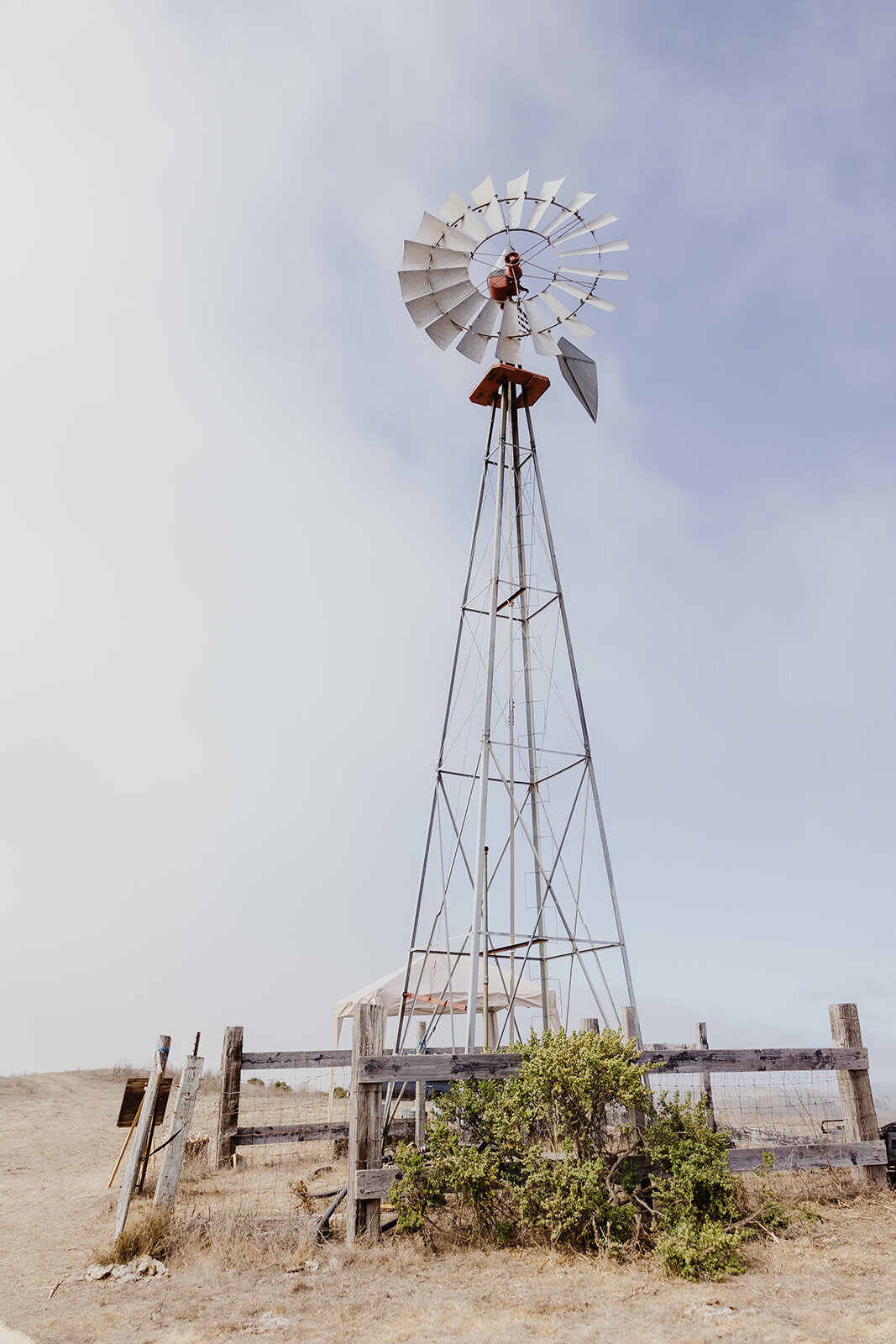 Emma_and_Noah_Half_Moon_Bay_Wedding_Santa_Cruz_wedding_Photographer_Kassandra_Thomsen_photography (221 of 1281)