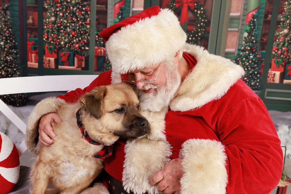 Dimensions Photography 23-6038_resize