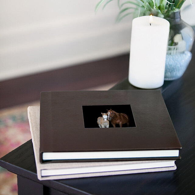JB Leather album cameo