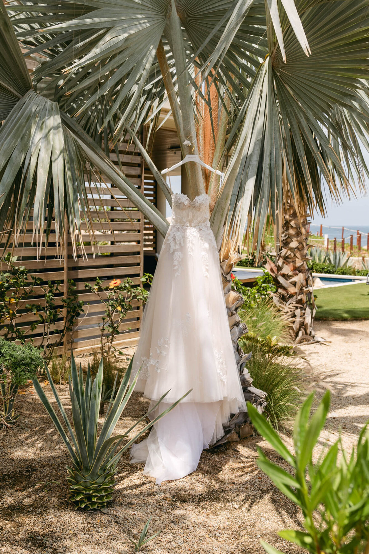515-Chileno-Bay-Resort-LosCabos-Mexico-Summer-Kyle-Allen-Wedding-19