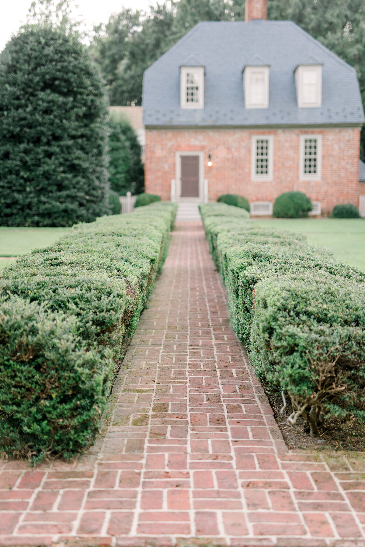 Ashley_+_Taylor_Engagement-425