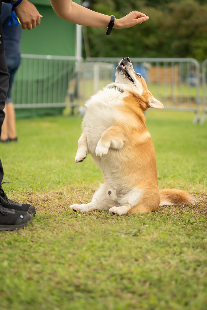 ElkeFierensFotografie-03545