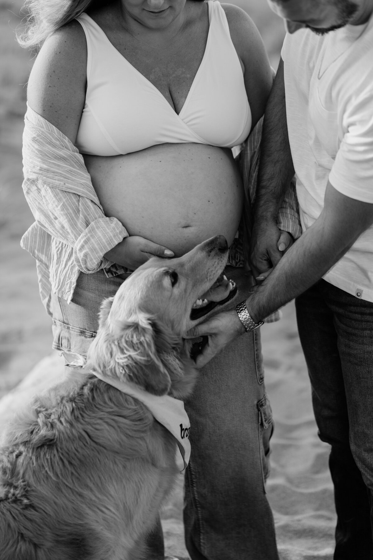 dog with pregnant woman and man on beach