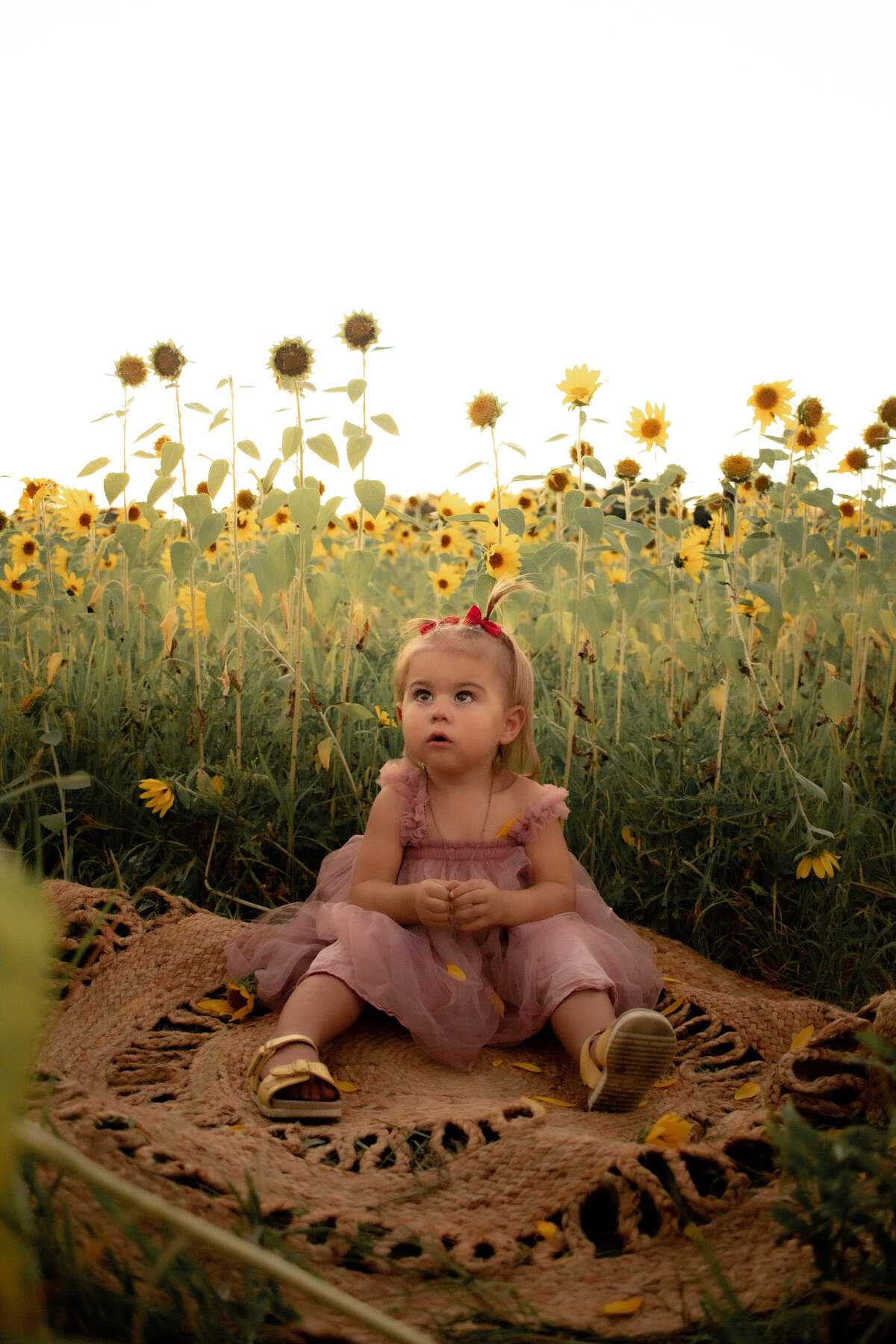 Indiana Family Photography _ Abby & Jonah Summer 23-006