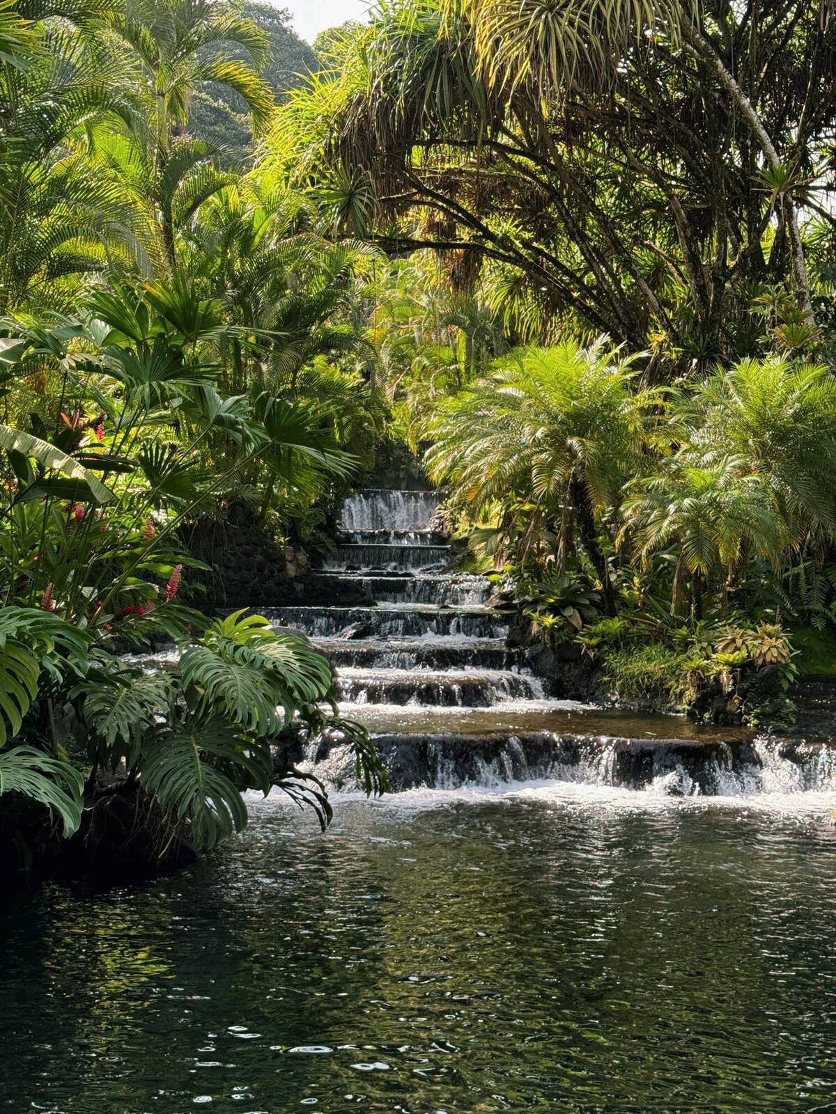 tropical waterfall