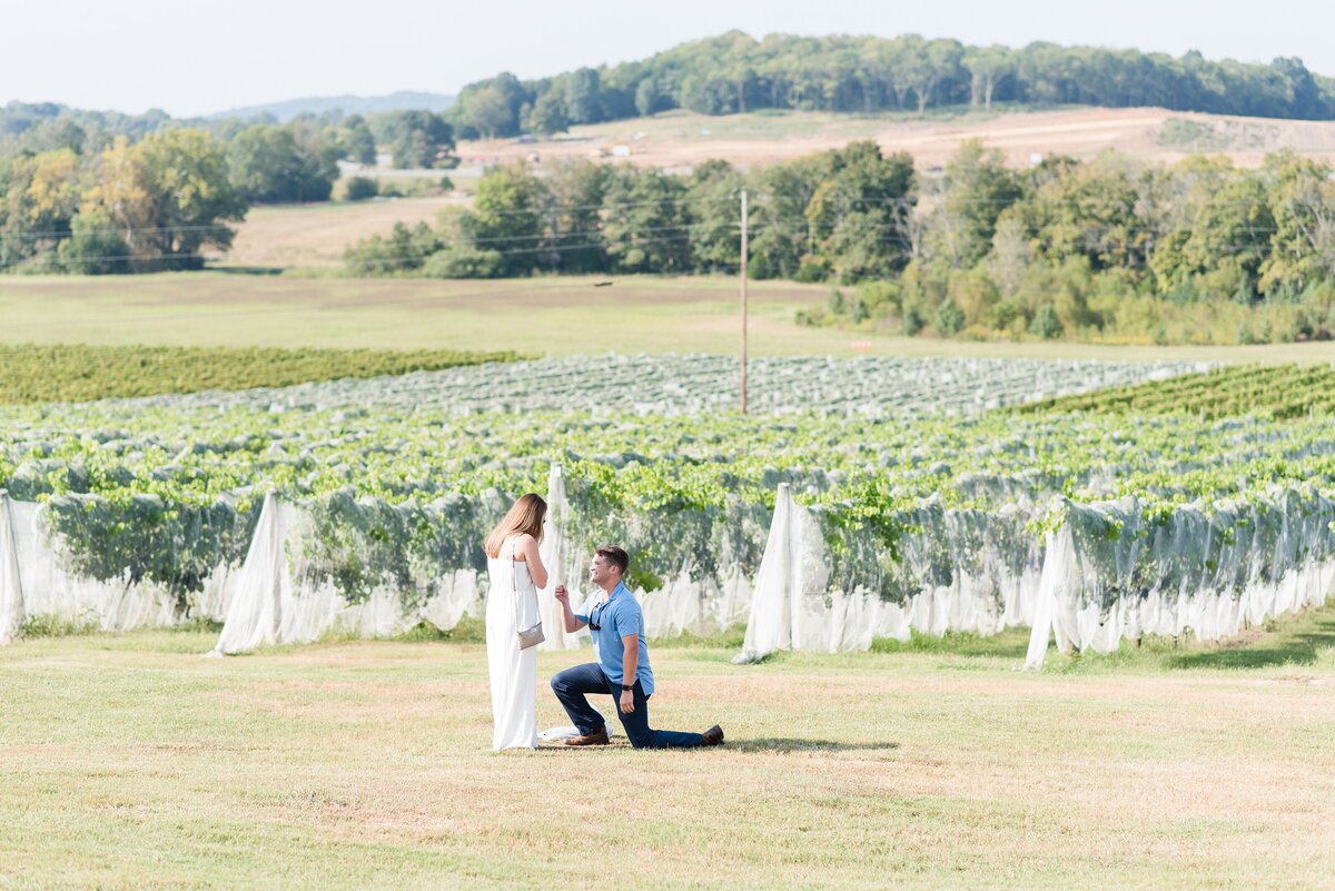 Arrington-Vineyards-Proposal-in-Nashville+2