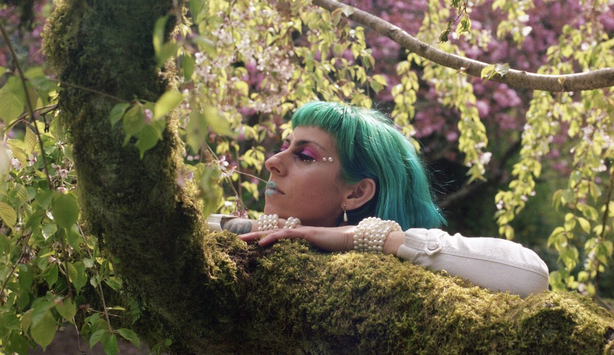 Seattle Arboretum