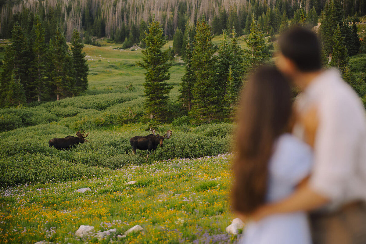 Fort Collins Engagement Wedding Photographer Denver LGBTQ Queer Same Sex Inclusive Estes Park Colorado Venue Planner RMNP Liz Osban 032
