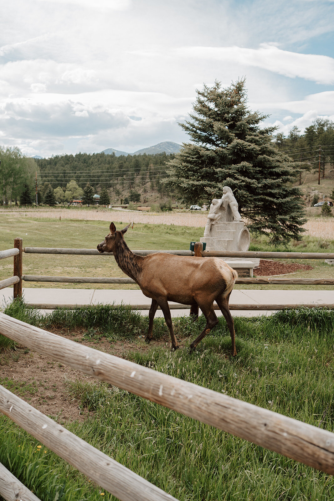 kailey & alden preview _ Cait Swithers Photo & Films CO-20