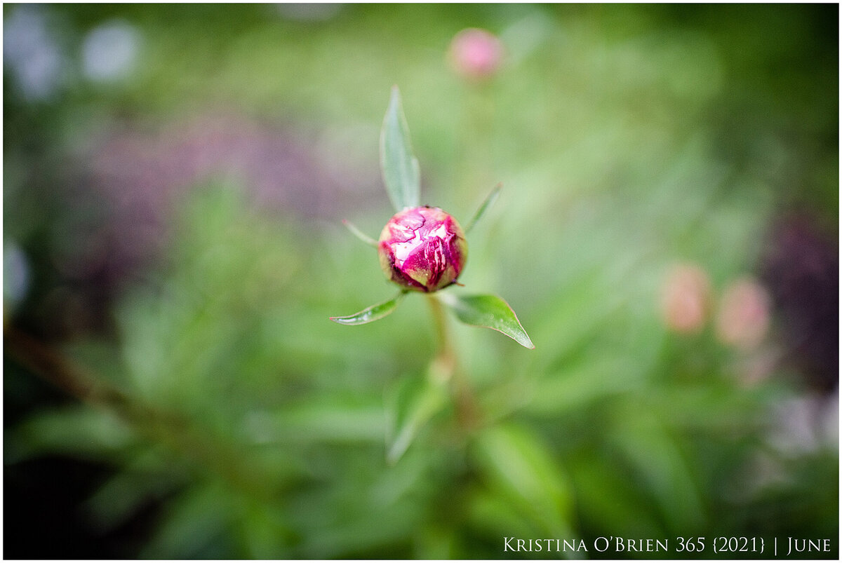 maine-lifestyle-photographer-0156