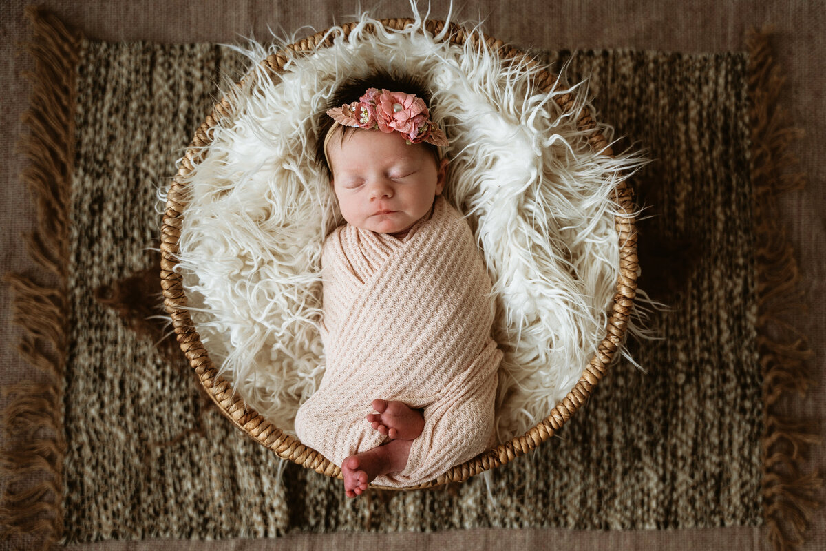 Pittsburhgh Newborn Photographer--Newborn Website Update-8