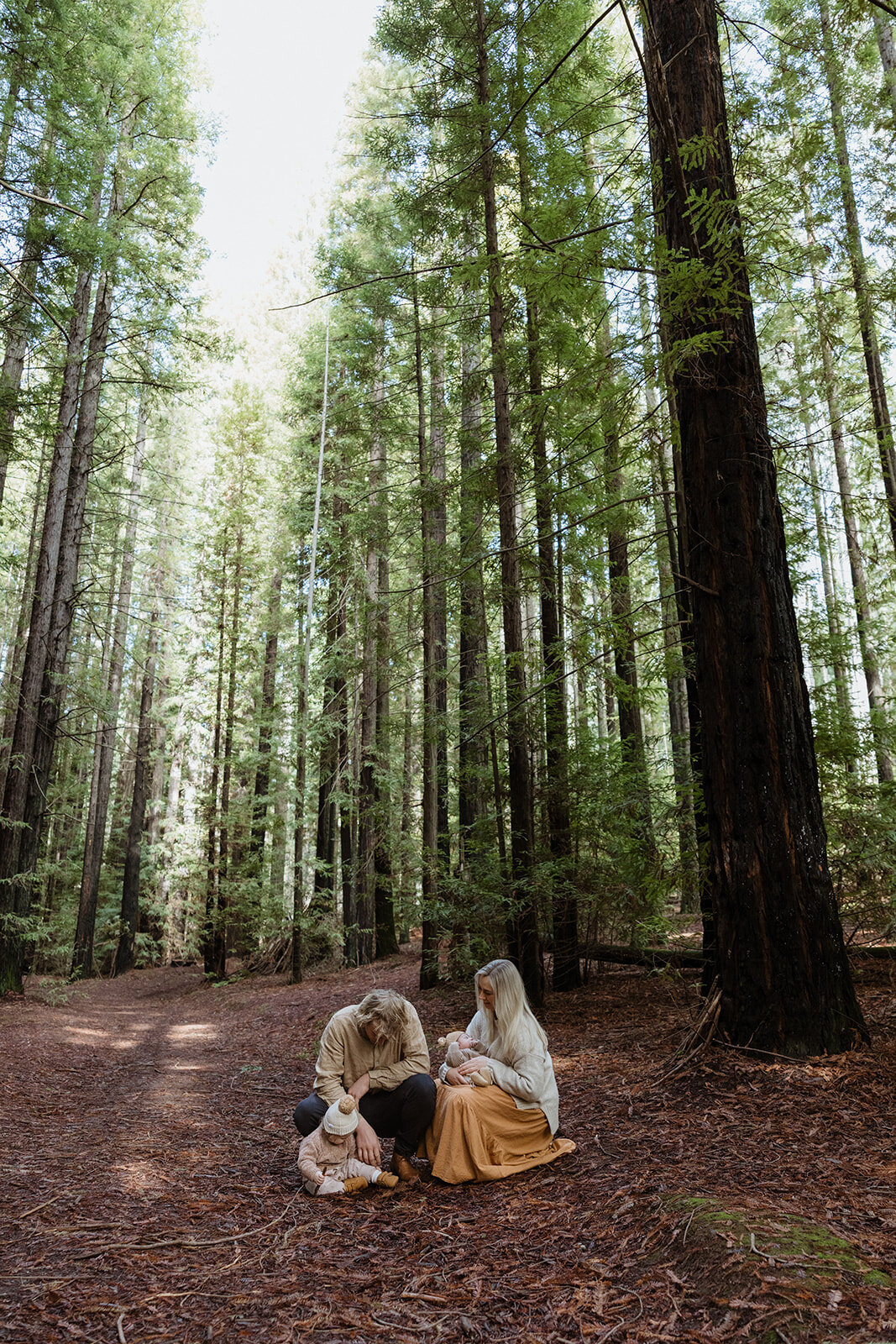 Lui - Newborn Photography - July 2025 - JessicaCarrollPhotographer-168_websize