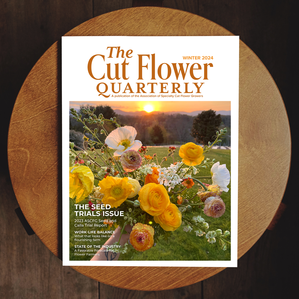 Cut-Flower-sq