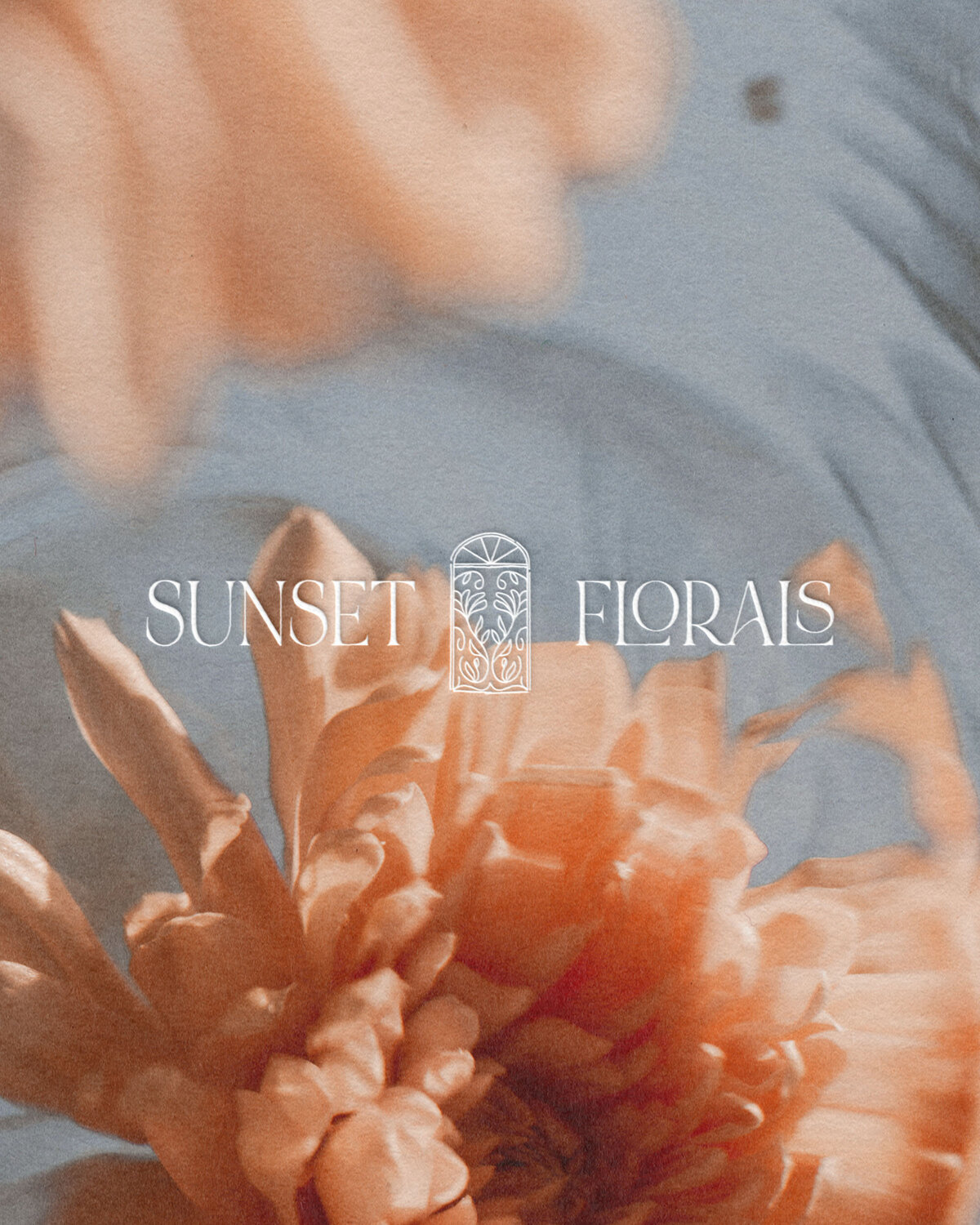 Ornate botanical sketch over blue and peach flowers as part of the Sunset Florals brand identity