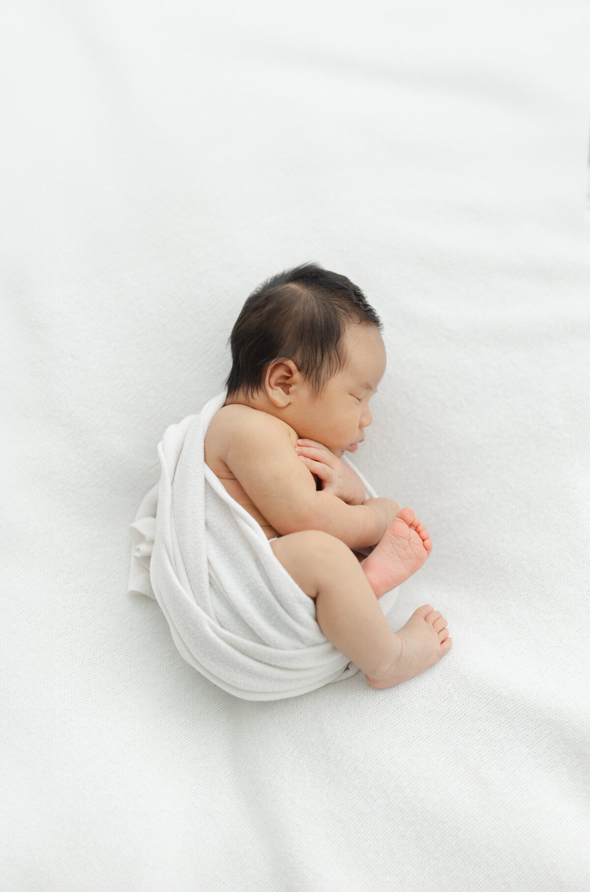 Philadelphia newborn portraits - 6