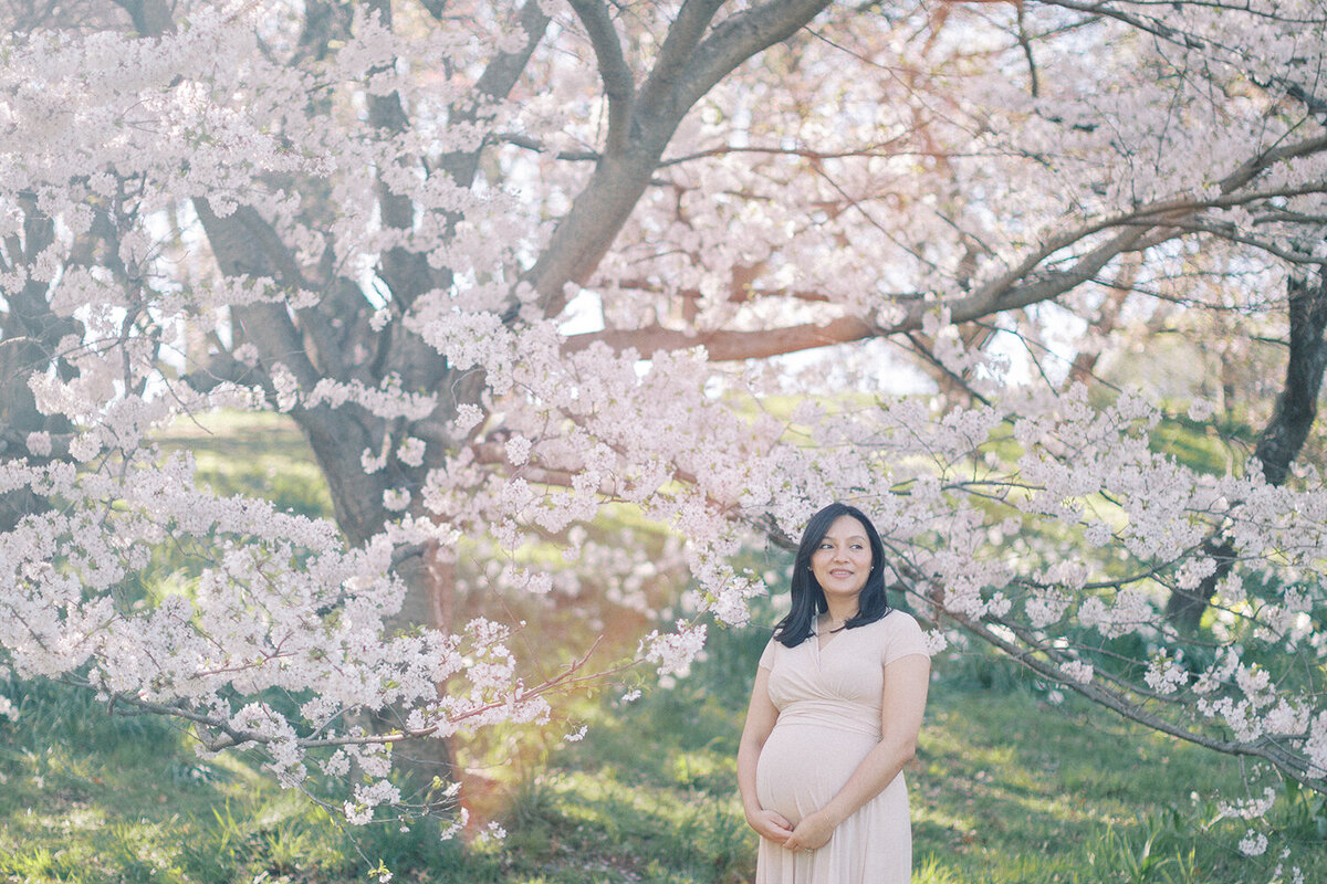 highland park rochester cherry blossom session