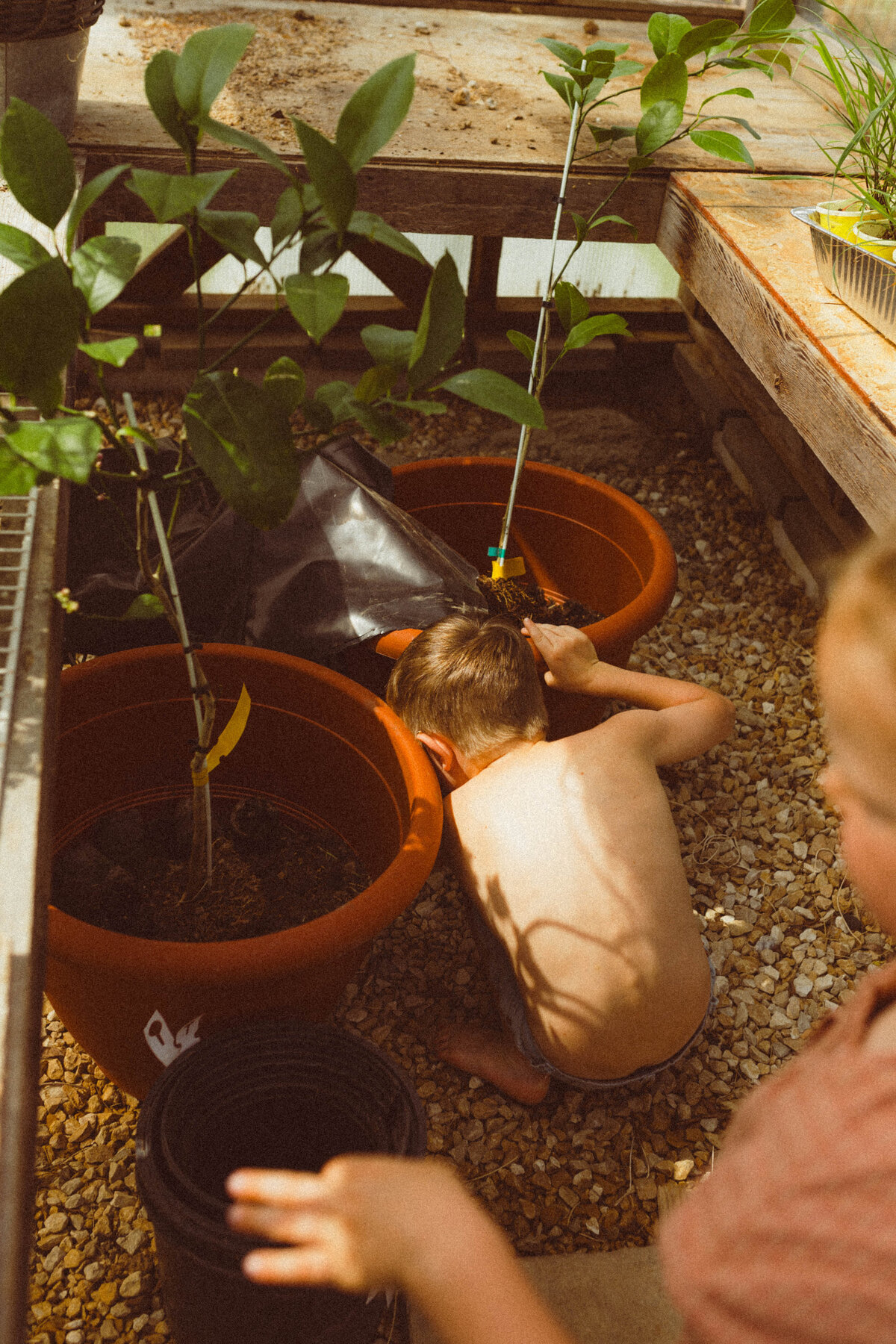 Documentary Family Photography Columbia MO - Gardening and Playful Moments-240524-0021