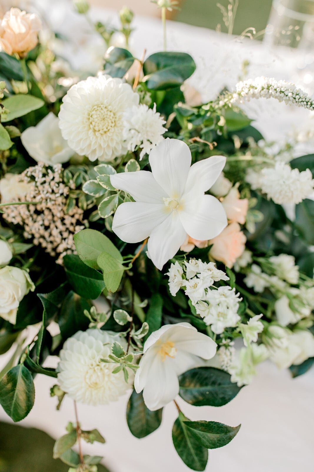 Cielo Farms Wedding Malibu | Orange Blossom Events 223