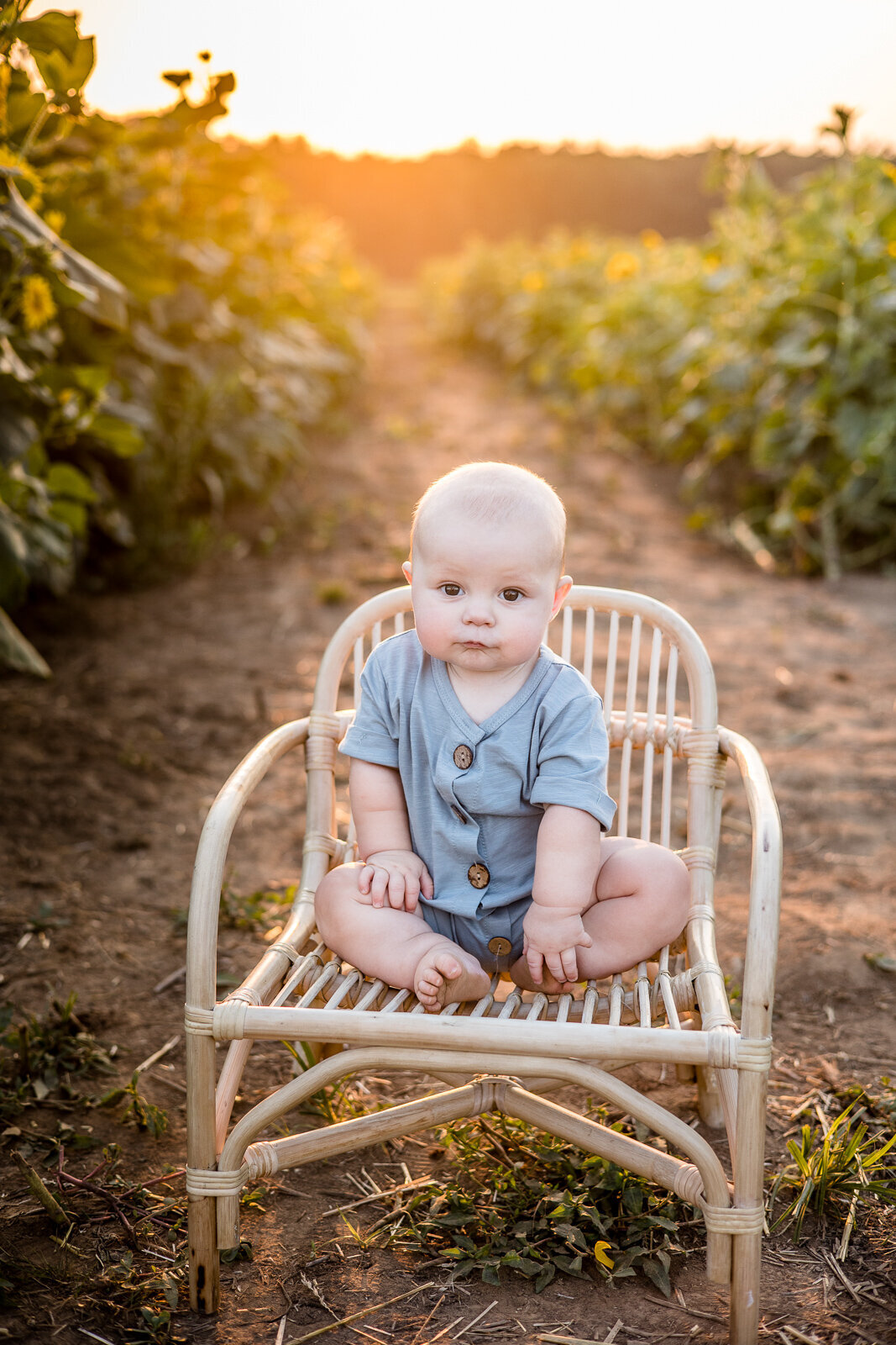 Outdoor_sunflower_sitter_photography_session_baby_boy_Georgetown_KY_photographer