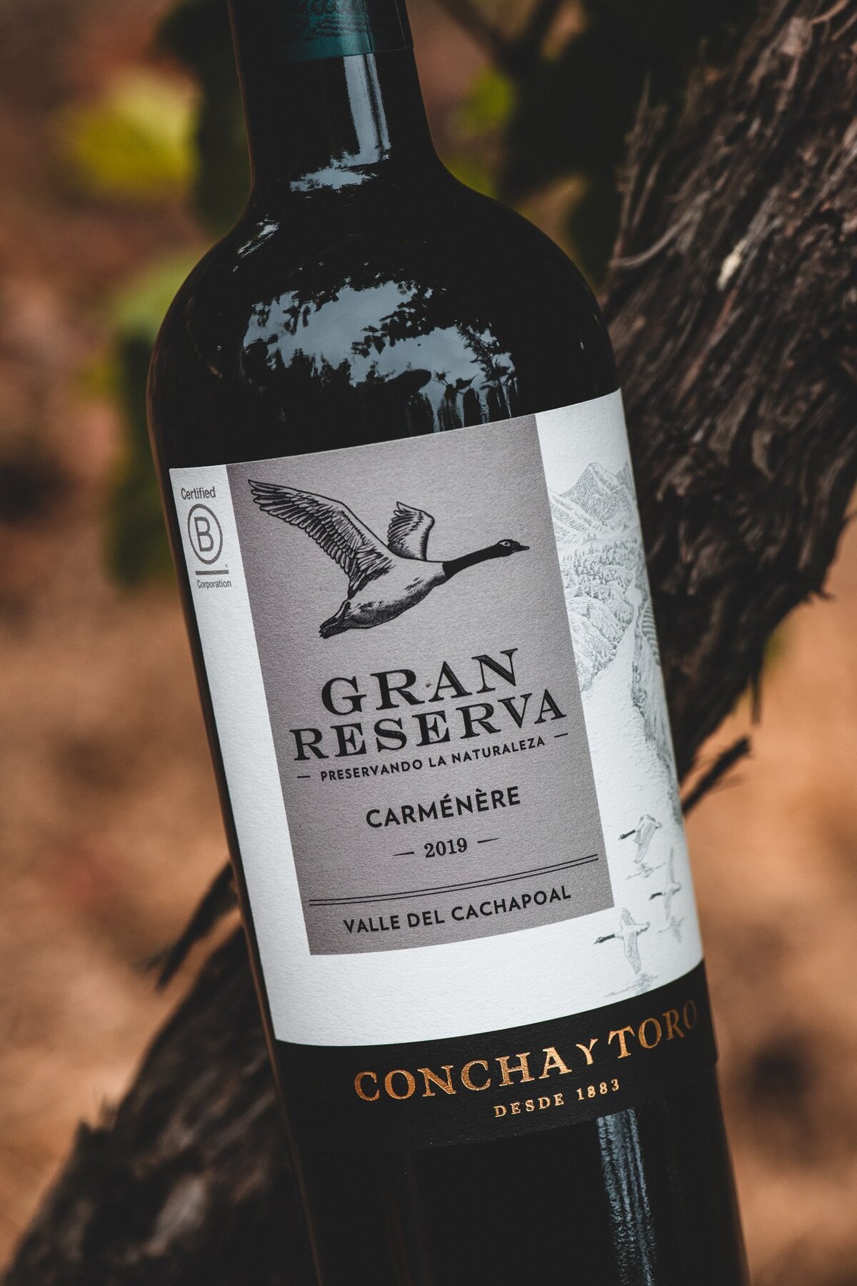 Gran-Reserva-32