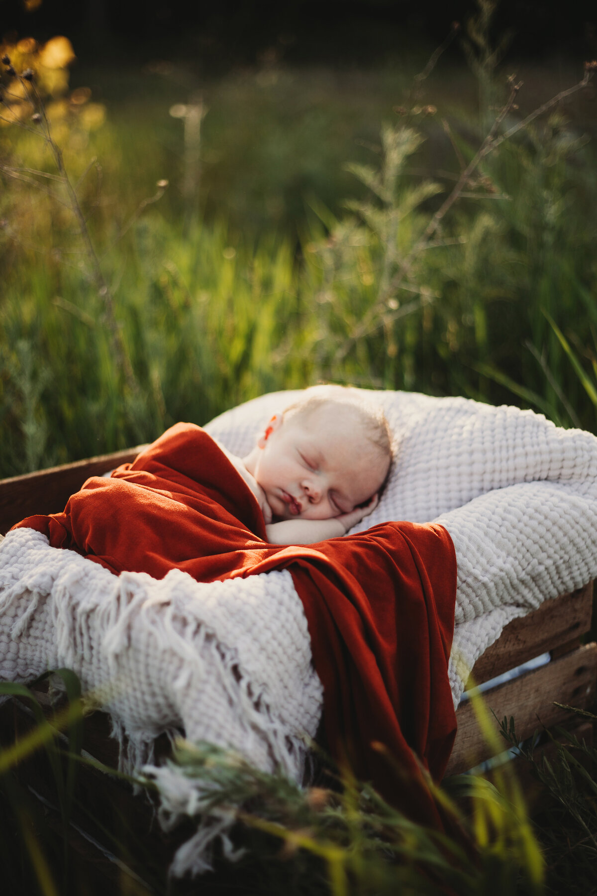 newborn session