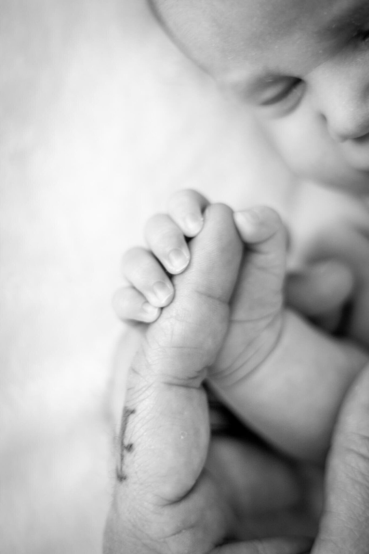 Sarasota-Newborn-Photography-31