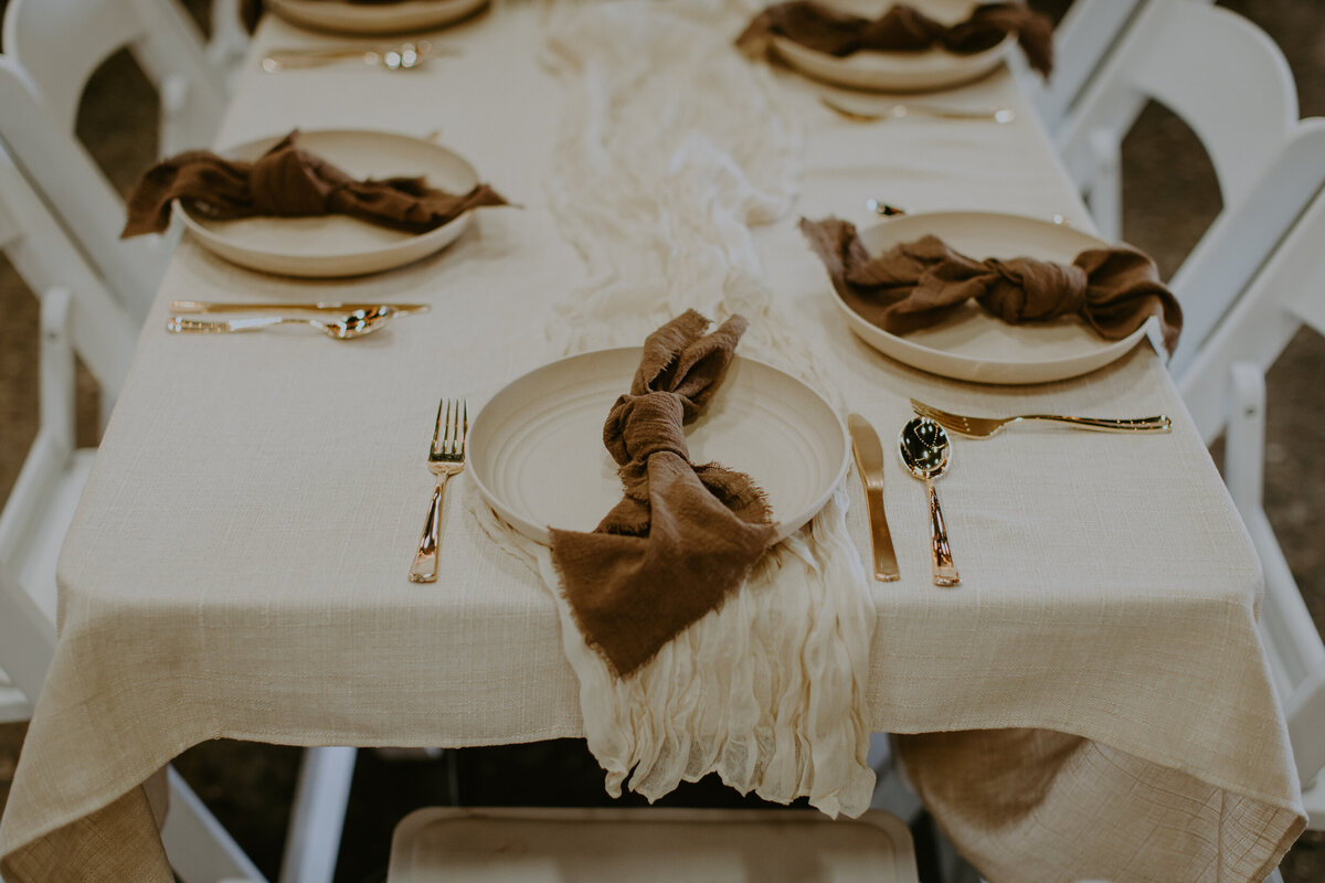 Mayes Baby Shower -  Linens, runner, plates, napkins