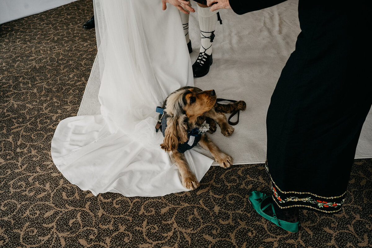 Banchory Lodge Wedding in Aberdeenshire by Aberdeen Wedding Photographer Scott Arlow135