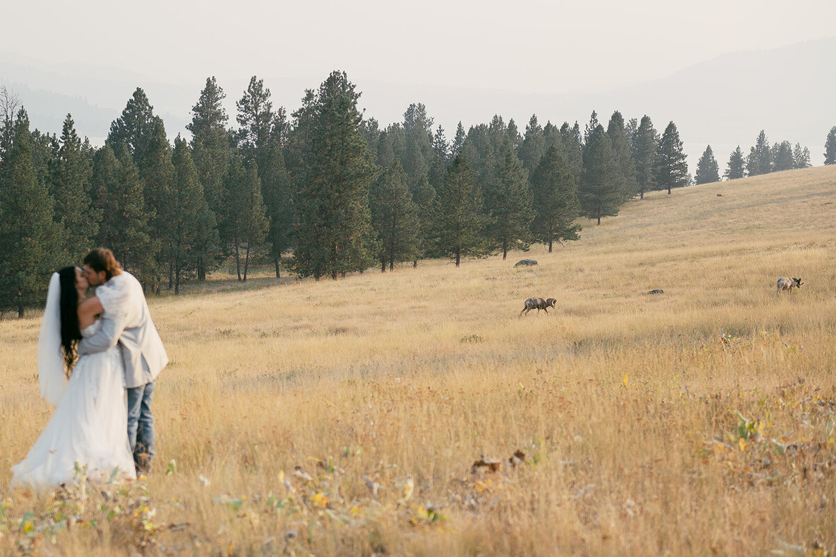 presley-gray-photo-wild-horse-montana-elopement-9253