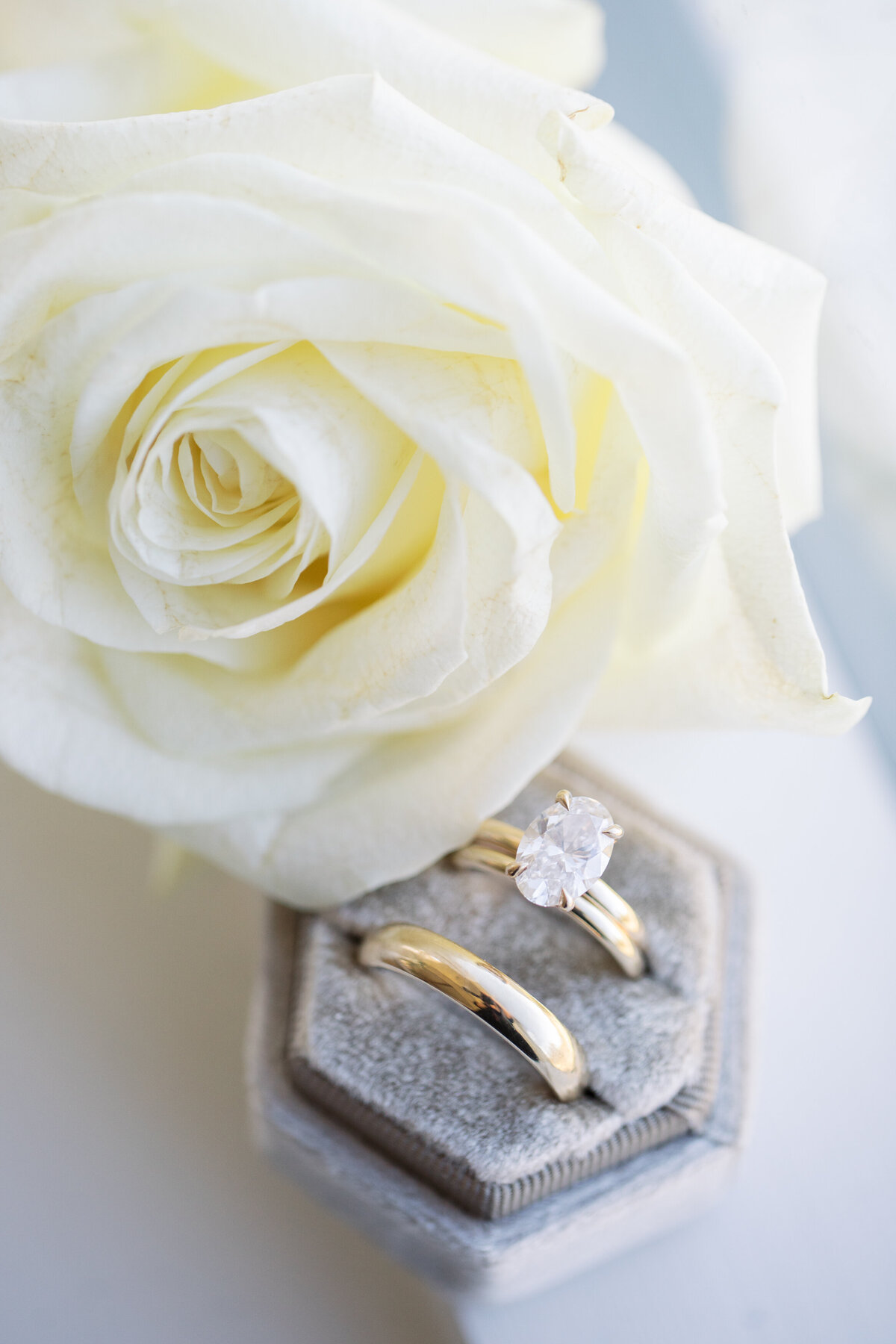 Oval engagement ring in velvet box