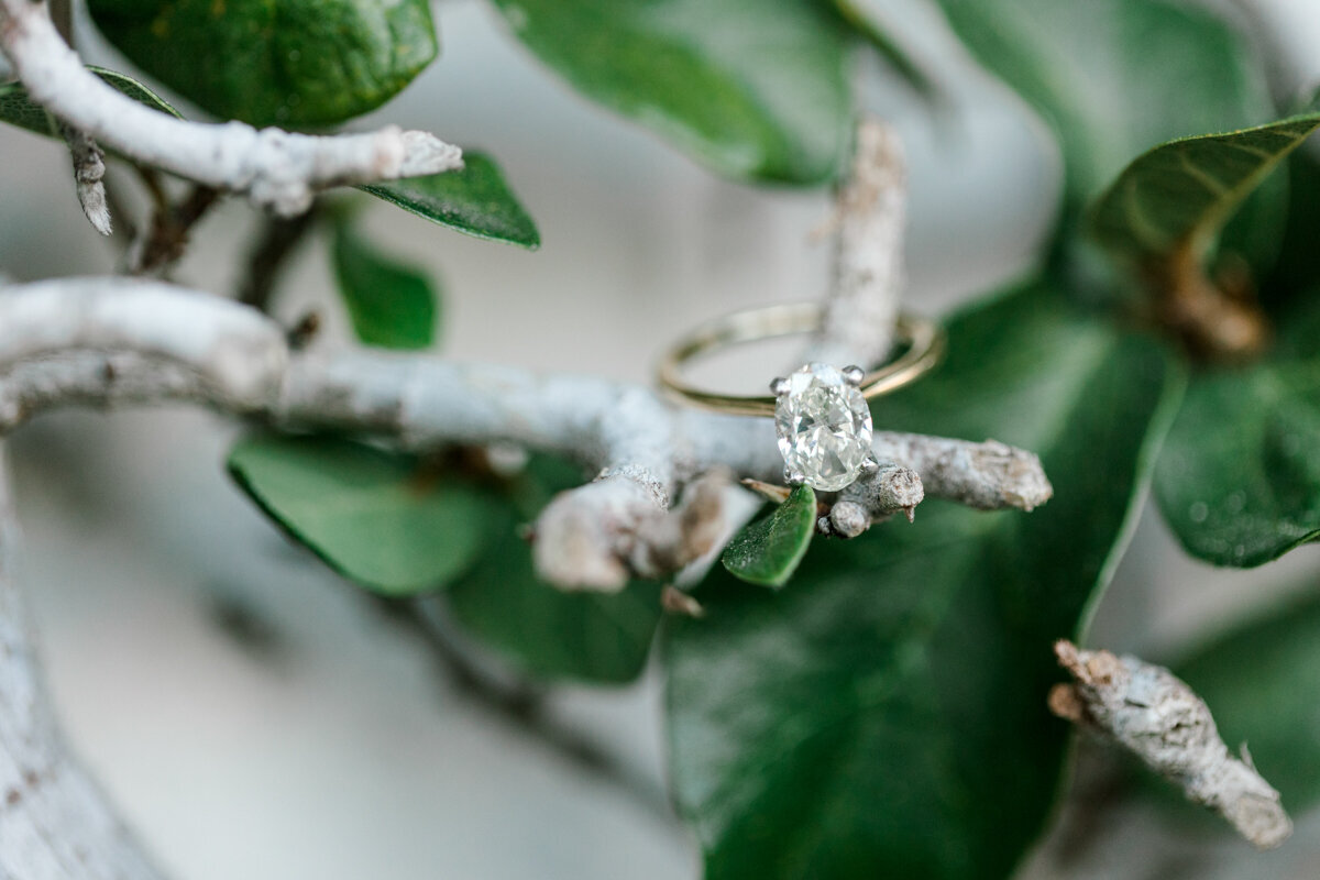 winter_park_engagement_bumby_photography-0612