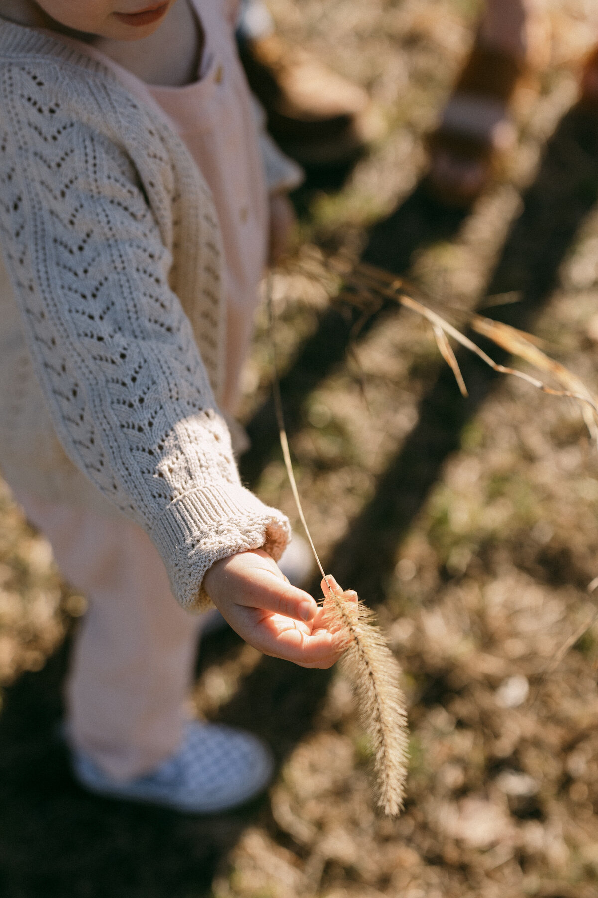 Carolynjorgensenphotography_0075