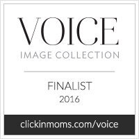 2016VoiceCollection_Finalist_badge