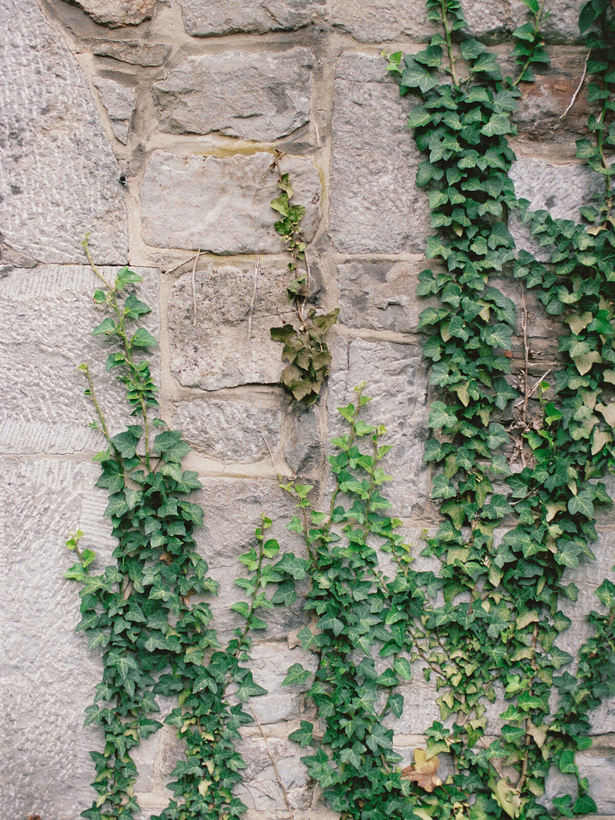 2-Olivia_Poncelet-Film-Photographer-Mariage-Chateau-de-la-Rocq-RH-WEB-72