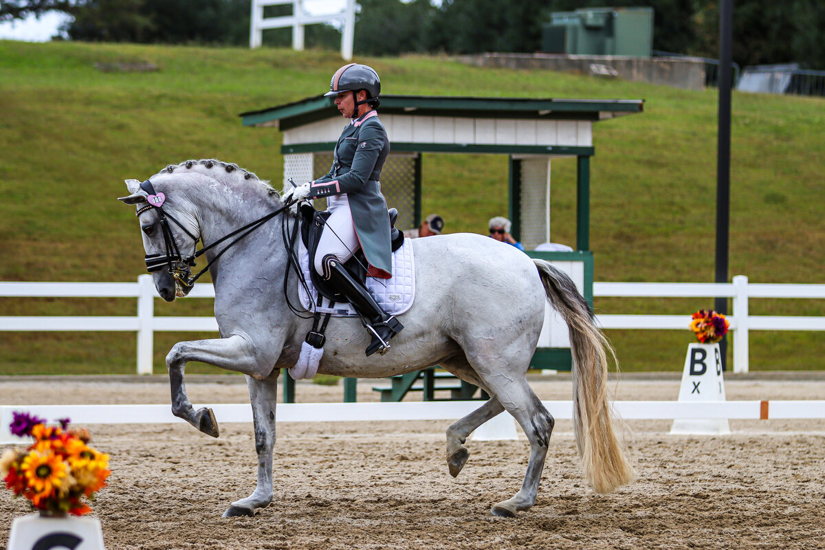 A grey horse doing a piaffe during a dressage test at the GIHP in Conyers, GA.