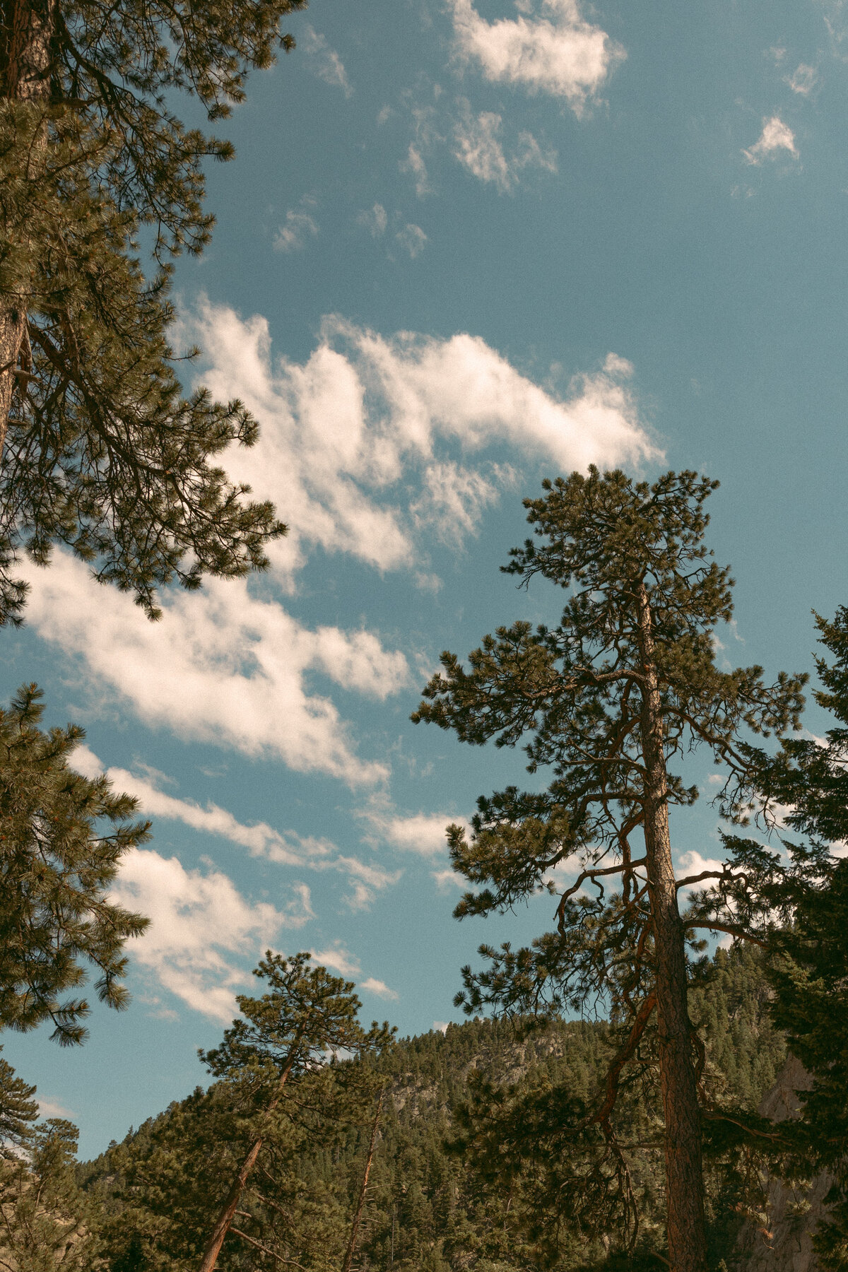 Harvey-6-BoulderFalls-PaytonHartsellPhotography-385