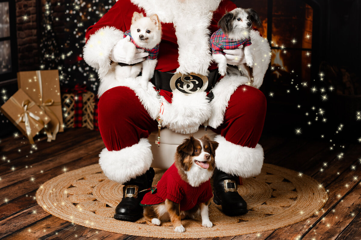 Best NWA holiday photographer, holiday portraits near me, Northwest Arkansas holiday photography, NW Arkansas holiday photos, NWA santa photos