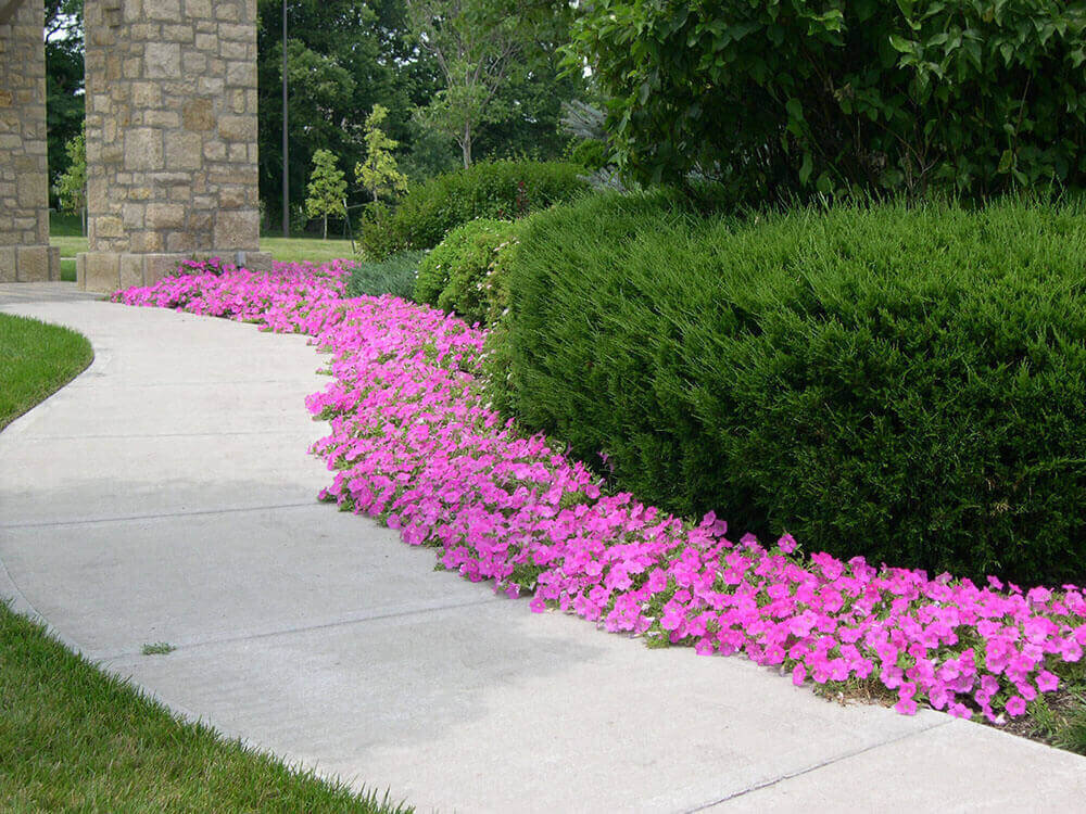 Commercial landscape company project in Kansas City