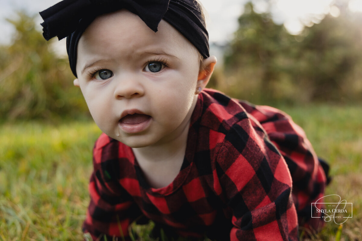 Baby girl crawling at christmas tree farm