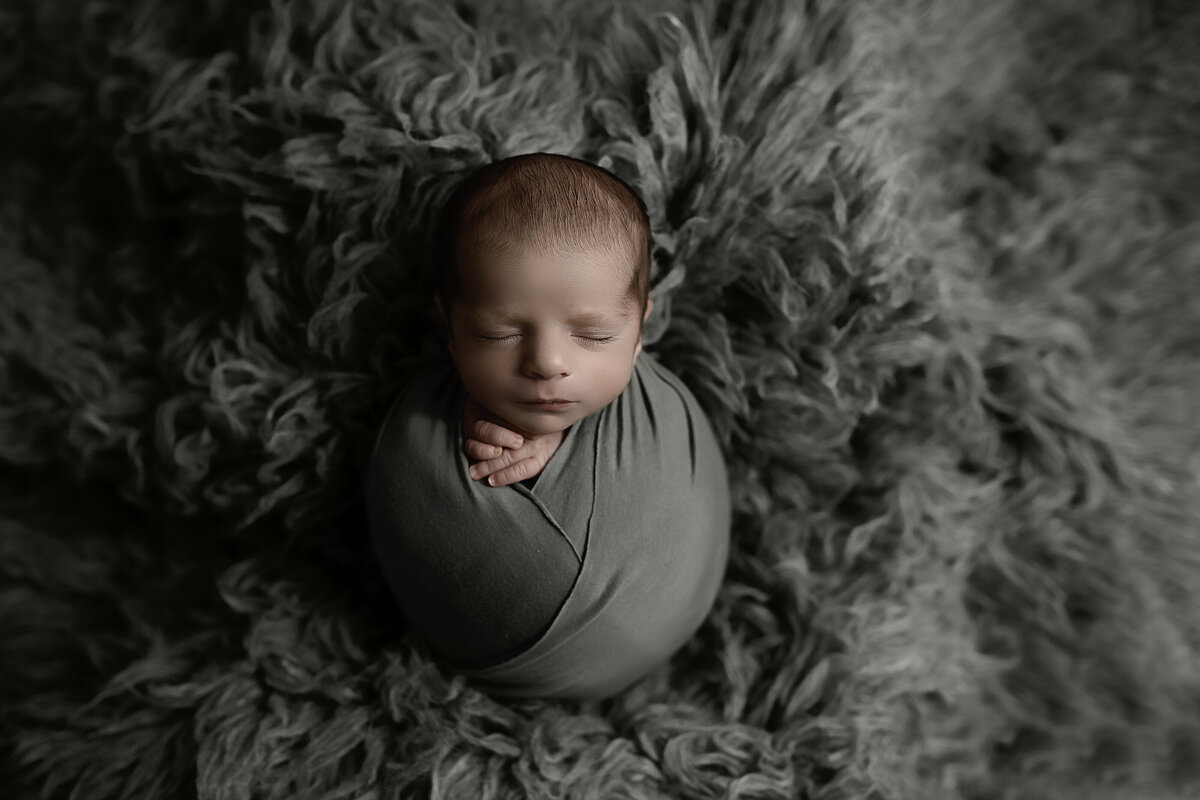 leander texas newborn photographer