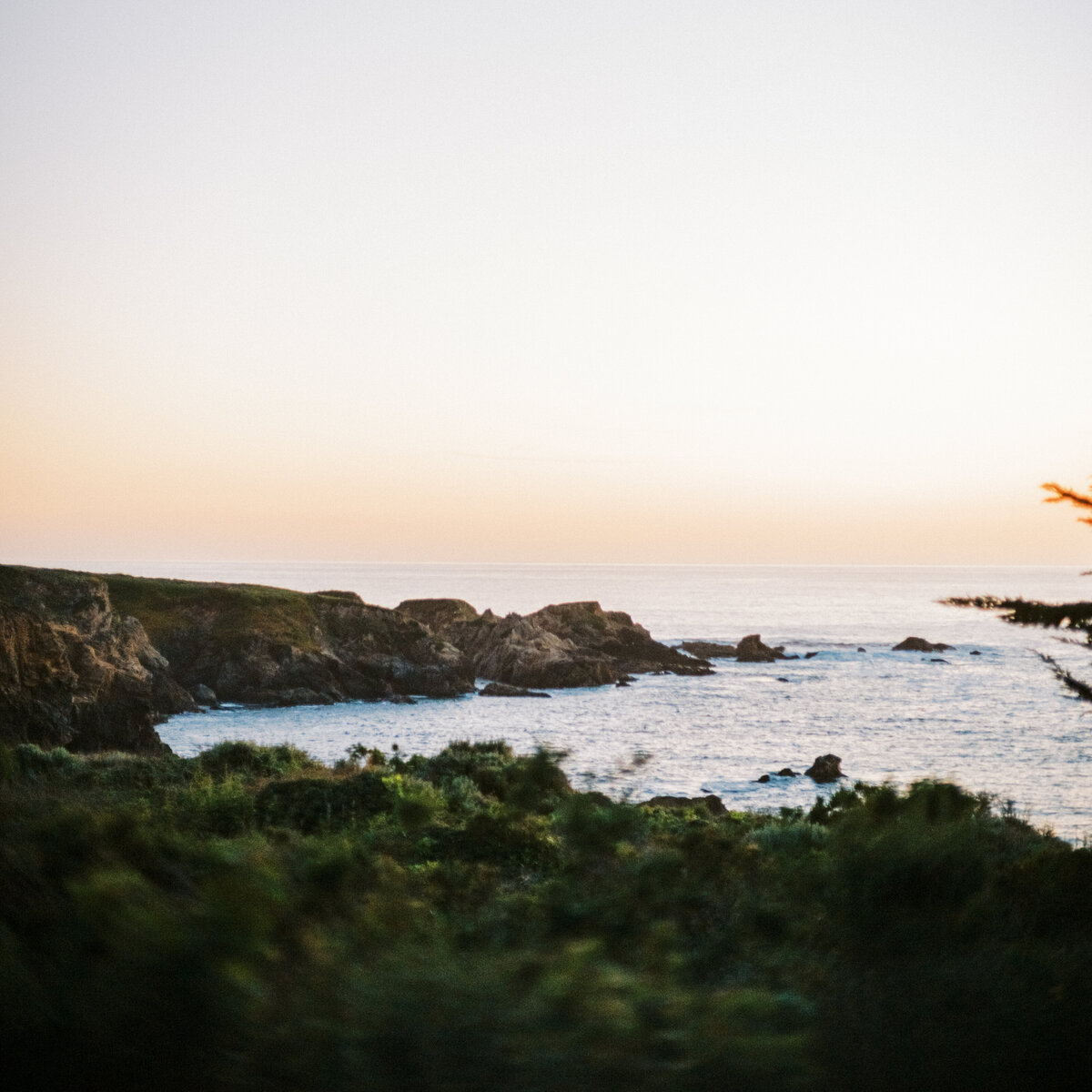 Big Sur Wedding Elopement Photographer Northern California Bay Area-17