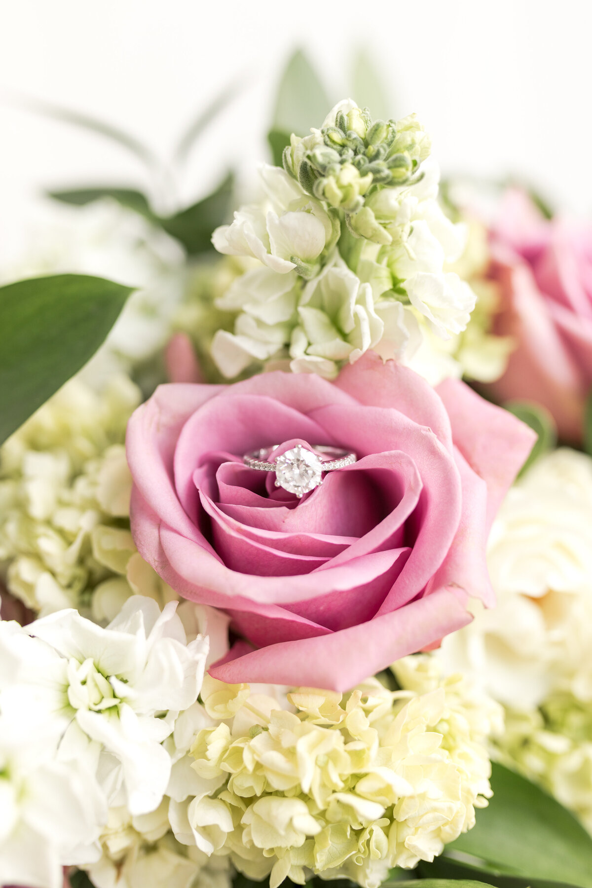 detail shot of ring in a rose