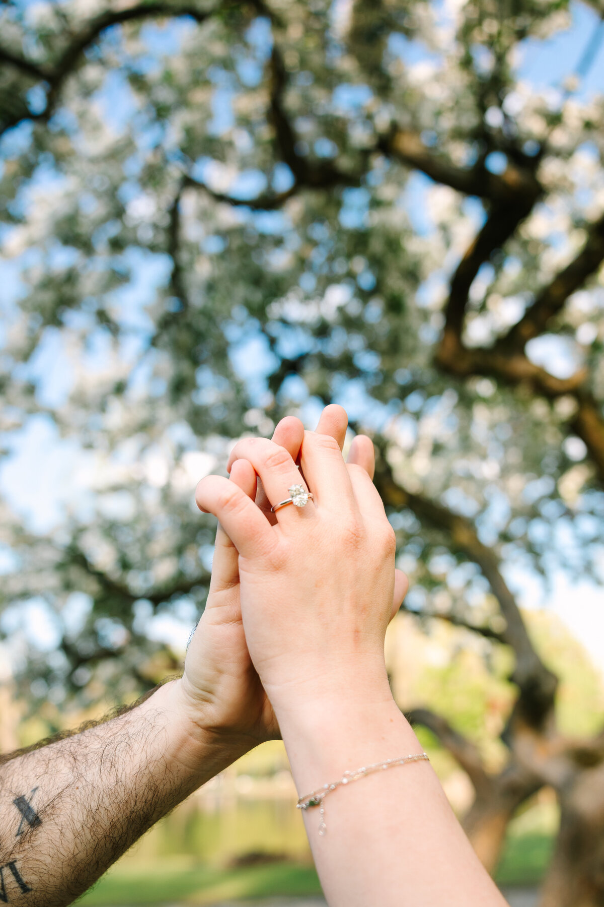 Michael & Sarah Proposal-32
