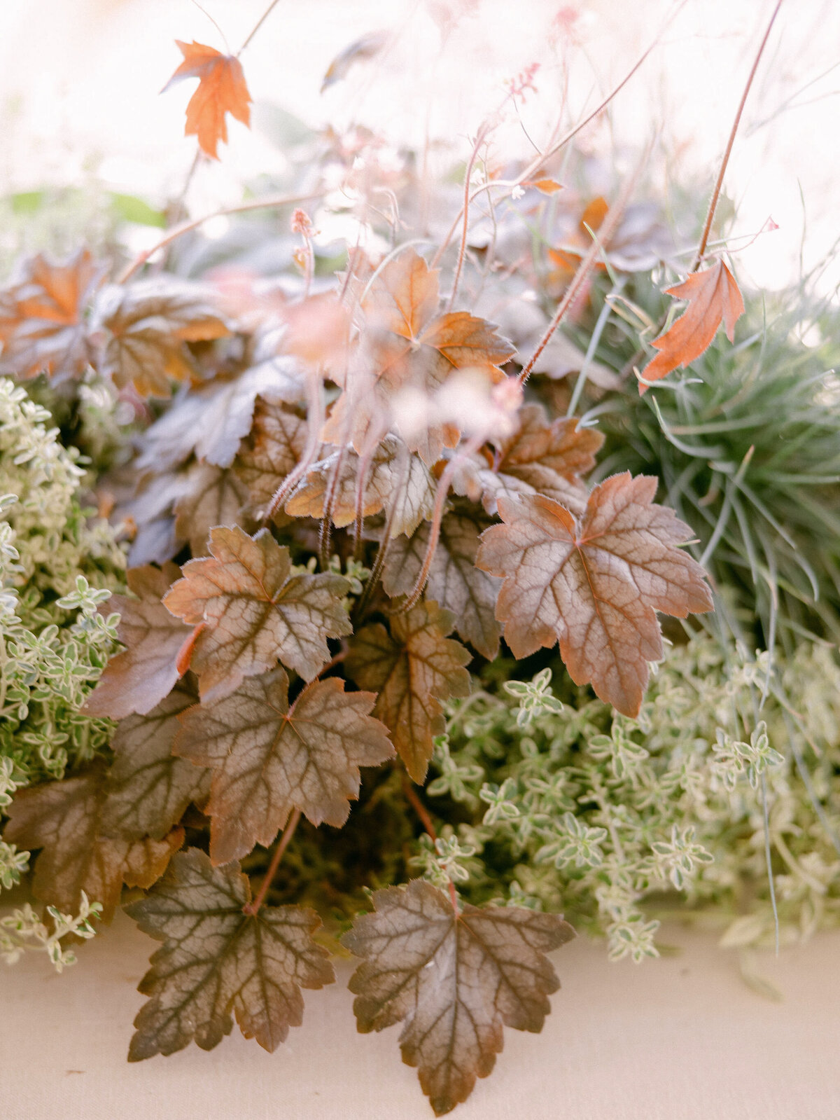 larissa-cleveland-photographer-napa-california-wine-country-wedding-private-estate-053