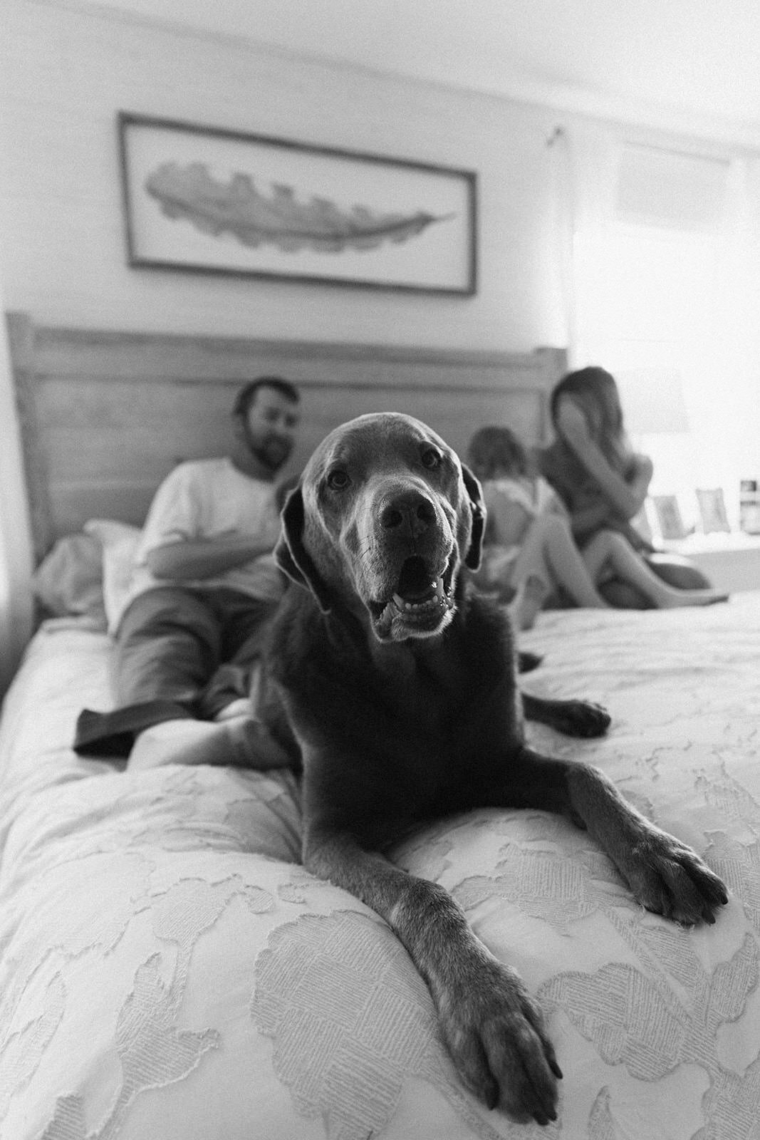 6.9.2025 - The Schultz Family_ Newborn-104