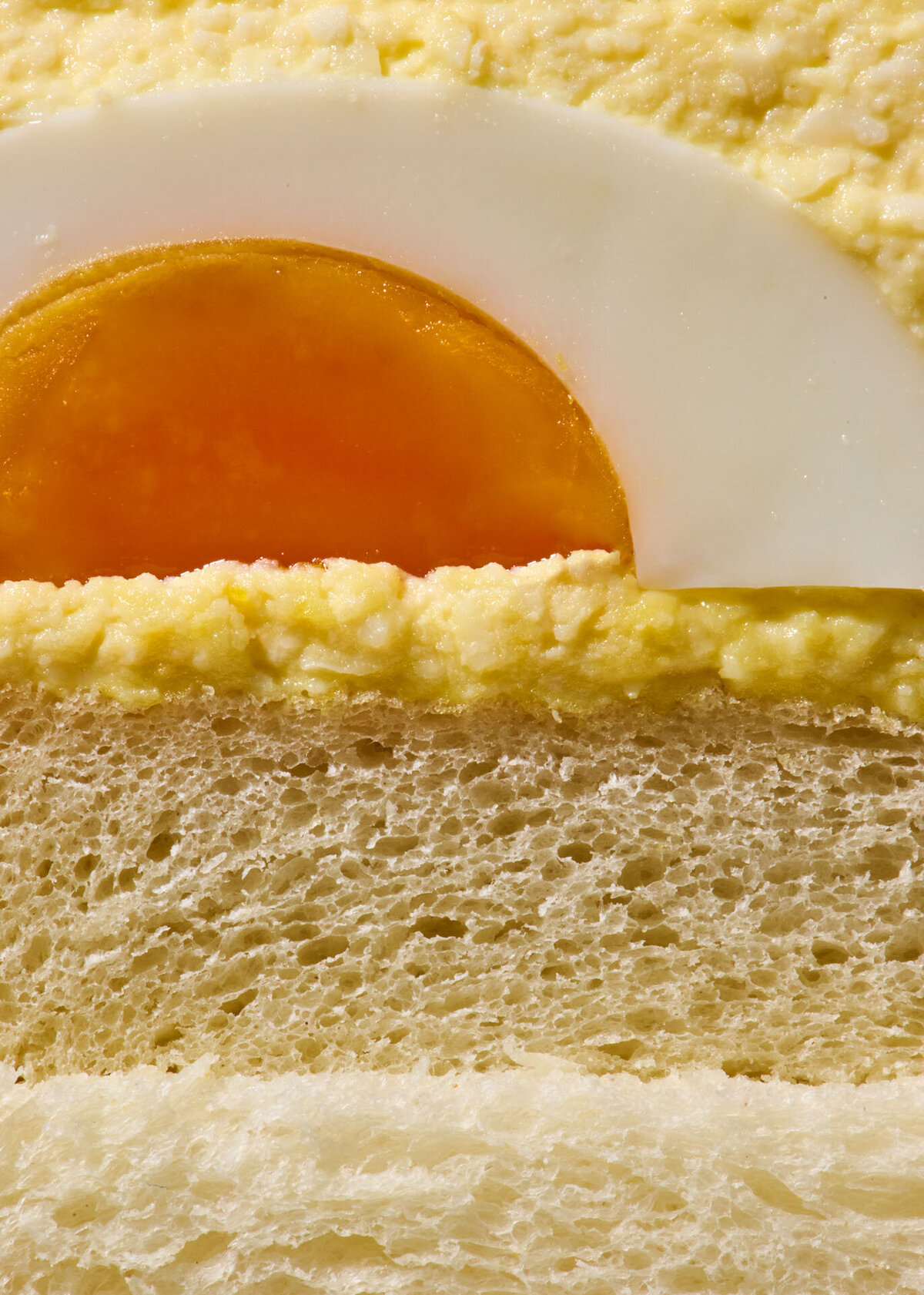 los-angeles-food-photographer-lindsay-kreighbaum-idiot-sandwich-gordon-ramsay-cookbook-photography-la-california-still-life-sandwiches-86