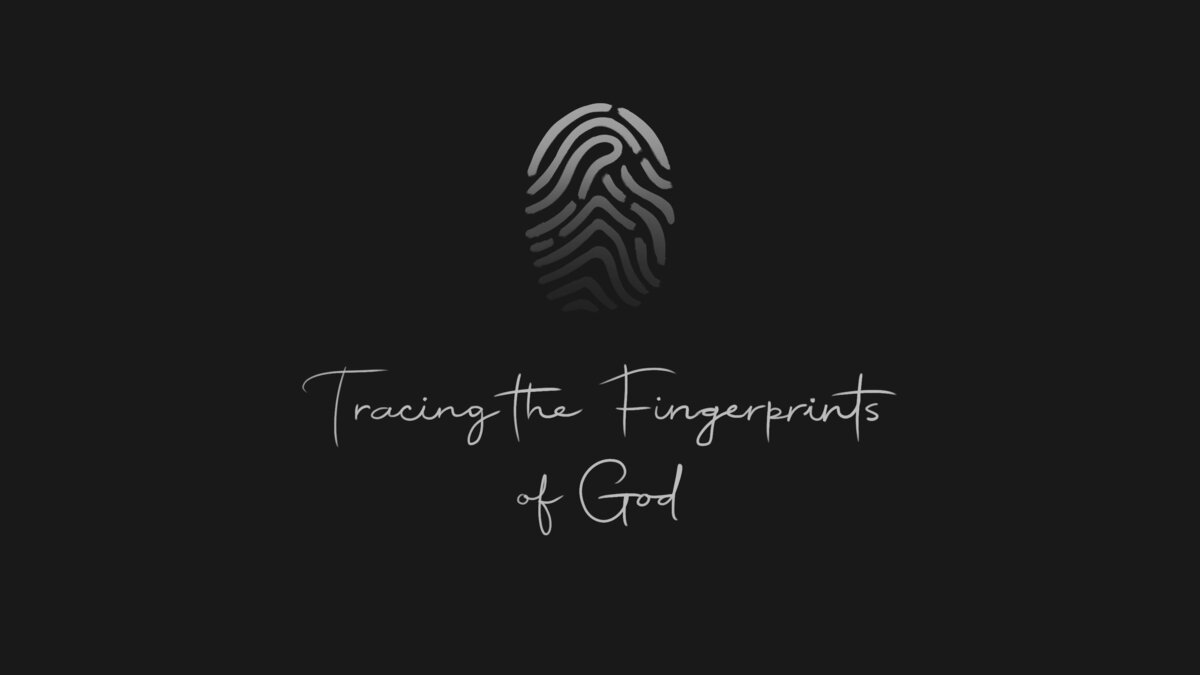 Fingerprints Slide_Dark_1