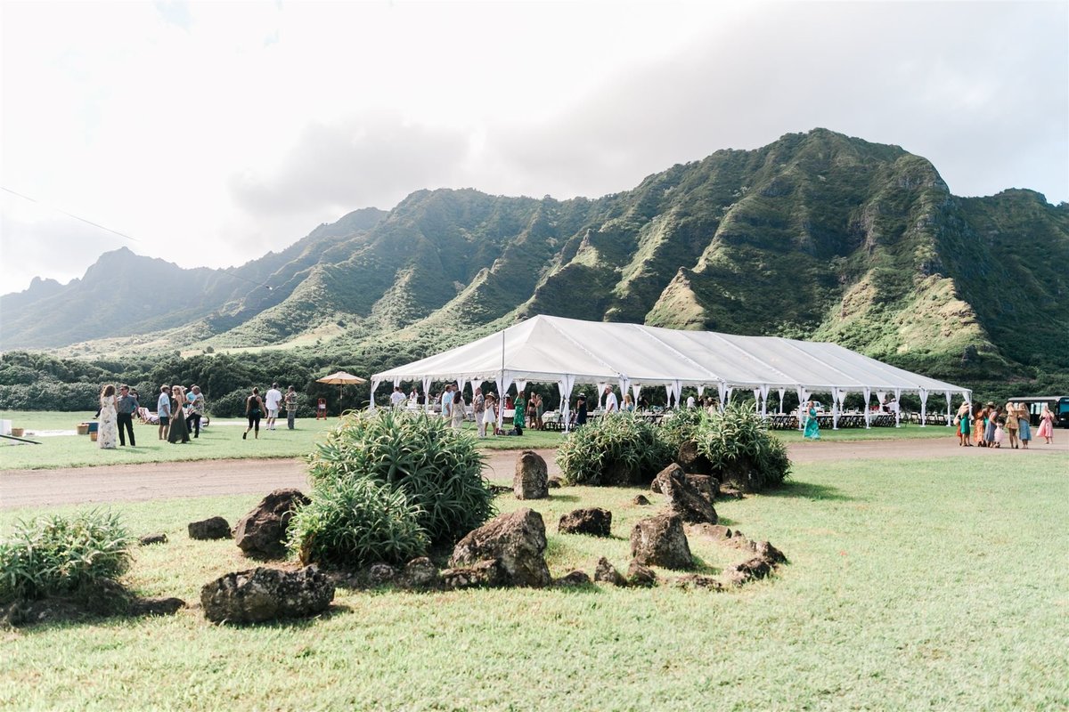 Kualoa Ranch Oahu Hawaii Wedding-Valorie Darling Photography-8815_websize