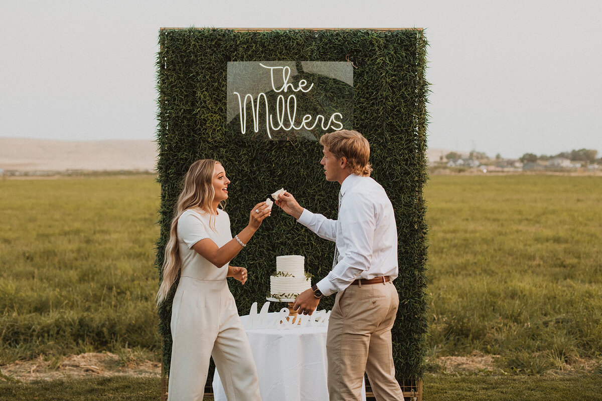 Wedding_Cake_Smash_0