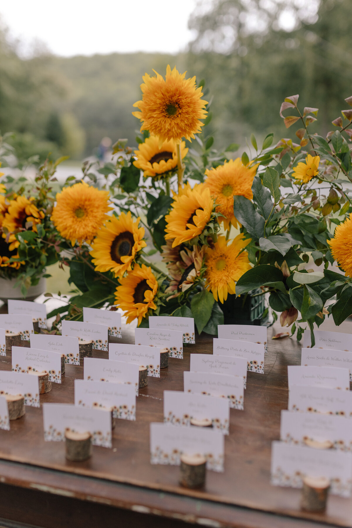 Liv+Ryan-CedarLakesWeddingWelcomeParty-Summer2024-MASHAIDA-0082